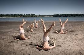 συλλογικός στρουθοκαμηλισμός