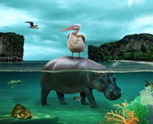 Ιπποπόταμος του κατακλυσμού