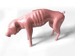 Εικόνα Κουμπαράς-Ασθενικό Γουρουνάκι