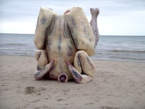 Εικόνα Κοτόπουλο στην άμμο