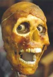 Εικόνα Κρανίο Αρνιού