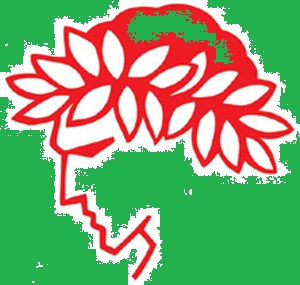 Εικόνα Αιώνιος Έφηβος