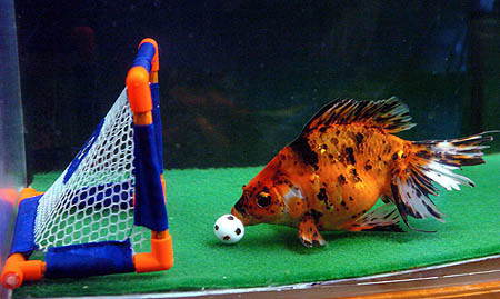 photo posted on post-gazette.com