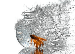 Σπασμένη γυάλα